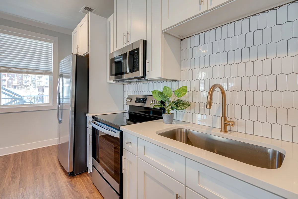 A fresh, contemporary kitchen featuring stainless steel appliances, a hexagonal tile backsplash, a modern faucet and sink, and a green plant for a pop of color. The setup is bright, clean, and ready for meal prep or casual dining.